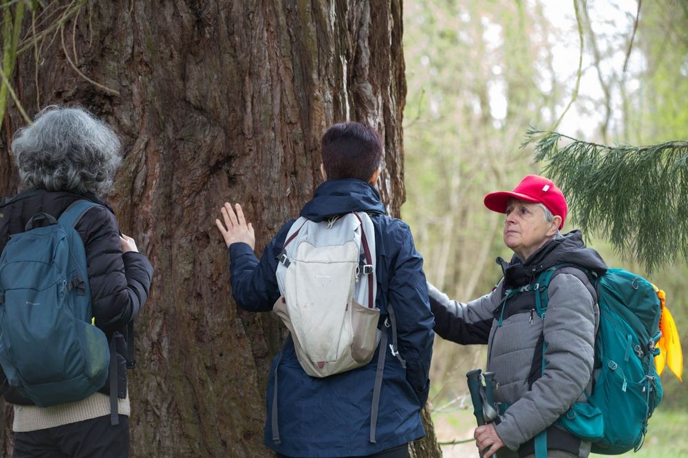 31 mars 2024 foret de ferriere 022r 1