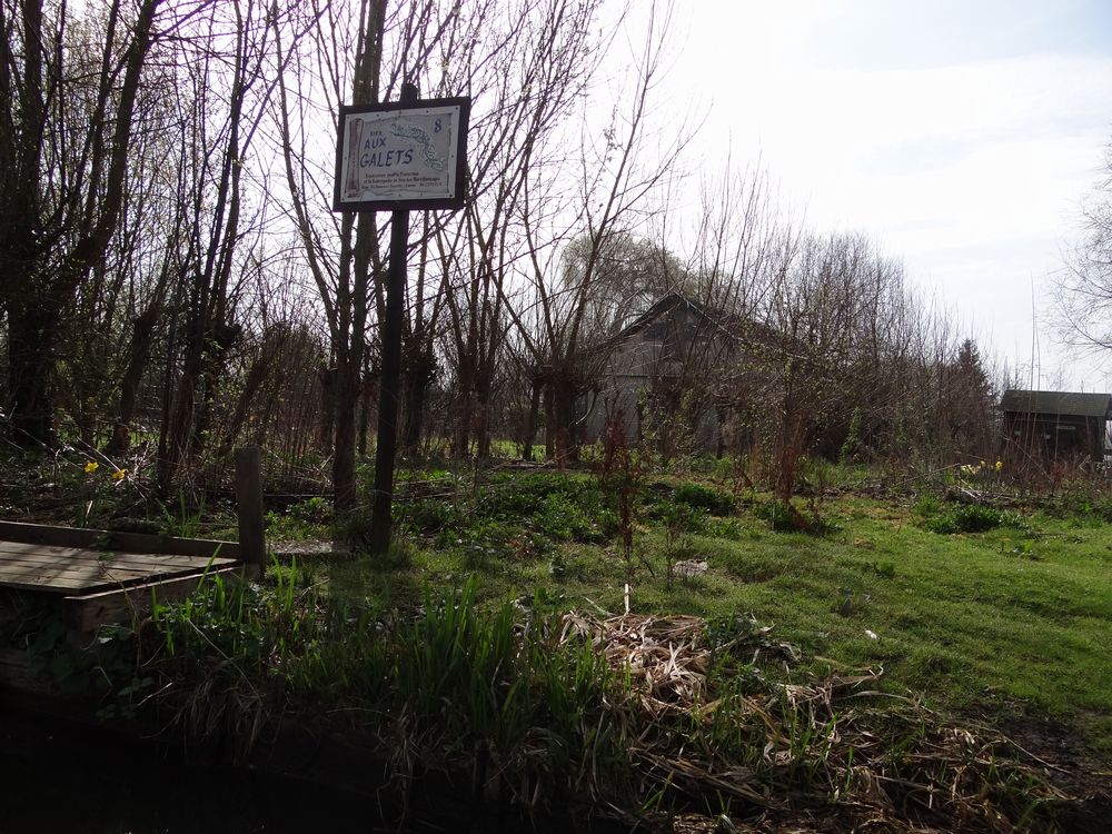 Dsc00257r