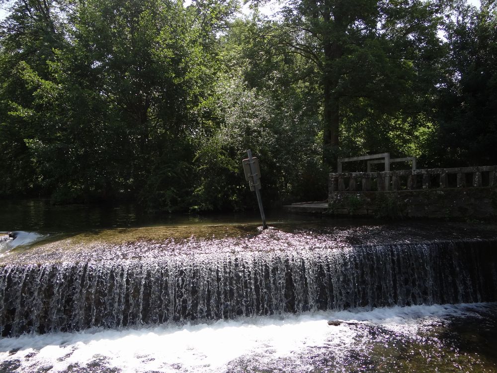 Dsc00631r