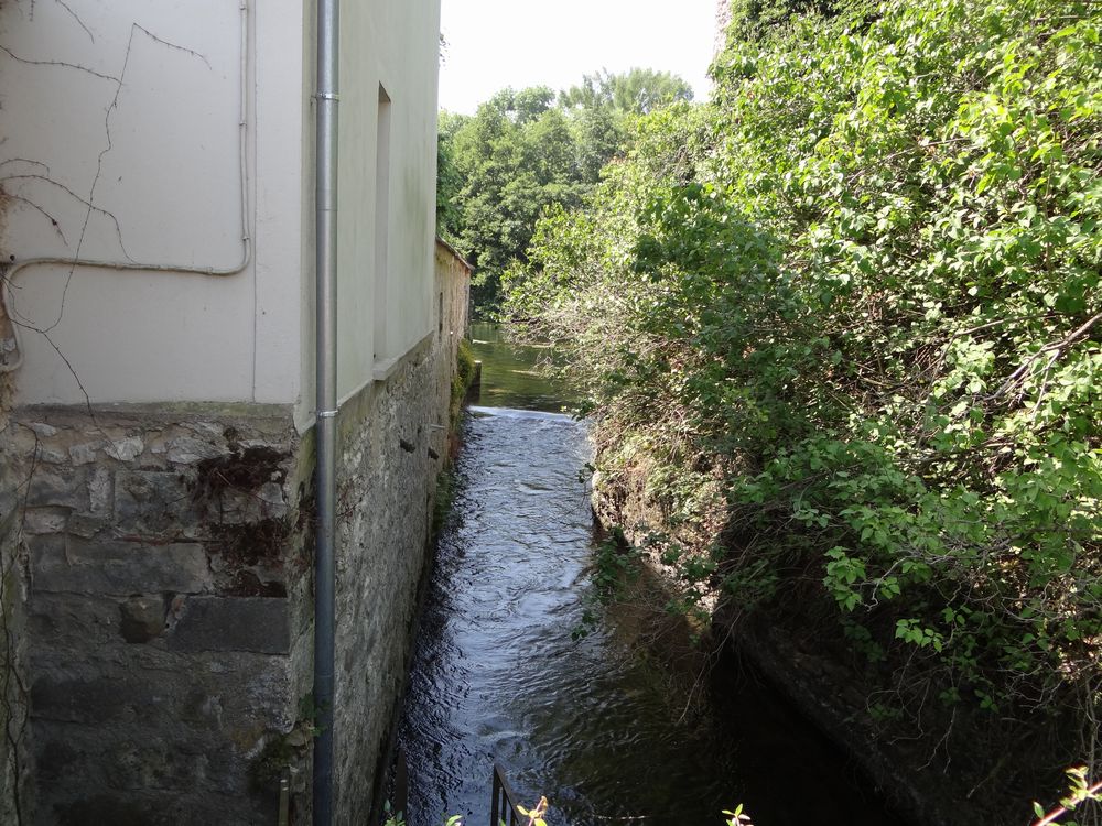 Dsc00658r