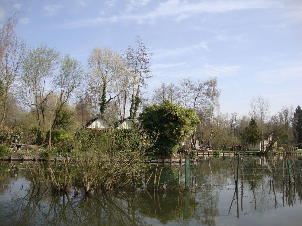 Dsc09951r