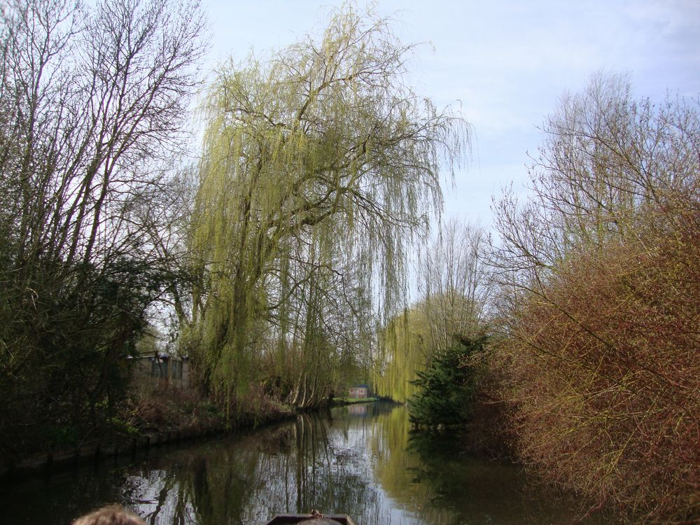 Dsc09961r